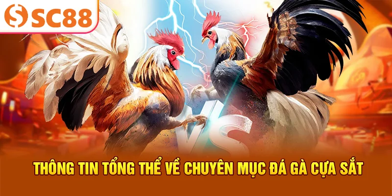 Thông tin tổng thể về chuyên mục đá gà cựa sắt